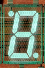 macro photo